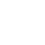 Data-Security icon