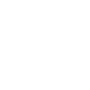 Information-Security Icon