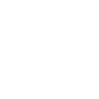 PII Compliance Icon