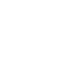 SentinelOne Icon