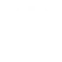 SentinelOne Icon